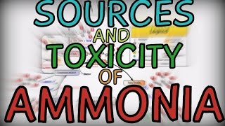 Sources and Toxicity of Ammonia [upl. by Emma]