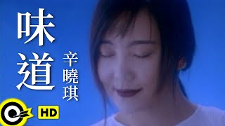 辛曉琪 Winnie Hsin【味道 Scent】Official Music Video [upl. by Tutankhamen736]