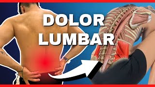 🔴 Los Mejores 5 Ejercicios para Mejorar Tu DOLOR LUMBAR ¡NO TE QUEDES PILLADO [upl. by Hilde867]