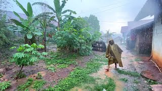 Walking in the rainbeautiful Indonesian countrysideheavy rain all day [upl. by Eneri265]