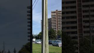 Steeles Avenue West  Toronto amp Vaughan [upl. by Clapper]