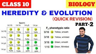 HEREDITY AND EVOLUTION CLASS 10 CBSE PART2 [upl. by Jillane]