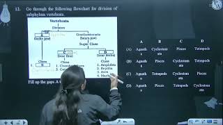 Go through the following flowchart for division of subphylum vertebrata Fill up the gaps A to [upl. by Eiba]