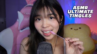 ASMR giving you ULTIMATE TINGLES you NEED [upl. by Anneh]