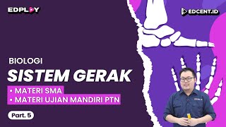 SISTEM GERAK  Materi Biologi SMA Ujian Mandiri PTN dan Perkuliahan  Part 5 [upl. by Aihsem315]