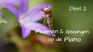 Psalmen amp Gezangen op de piano  Deel 2 [upl. by Aronow606]