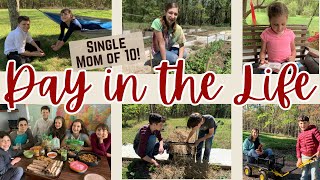 A Day in the Life of Single Mom on a Farm Homeschooling homesteading Mom of 10 with 6 at home [upl. by Keynes]