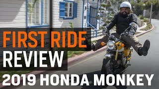 Honda Monkey First Ride Review [upl. by Ahsiruam]