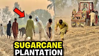 Sugarcane Plantation in Village  Ganna Lagany Ka New Tarika🤔 Sari Labour Ki Duaen Li🙏 [upl. by Yecniuq]