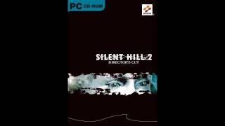 Silent Hill 2  The Day of Night OST Extended [upl. by Torruella156]