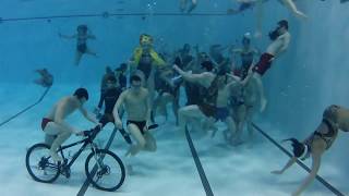 Ball State University Swim and Dive Harlem Shake [upl. by Aisul440]