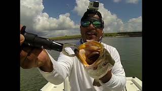 Nothing but Keeper Speckled Trout in Moses Lake TX [upl. by Mhoj]