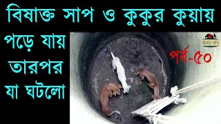 বিষাক্ত সাপ ও কুকুর একটি কুয়ায় পড়ে গিয়ে তাদের সাথে যা ঘটলো – খামার বাড়ি Khamar Bari পর্ব৫০ [upl. by Ynots680]