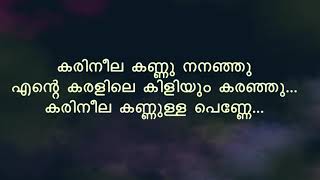 Karineela Kannulla Penne കരിനീലക്കണ്ണുള്ള പണ്ണ്  Song With Lyrics  Melodious Songs [upl. by Jarek]