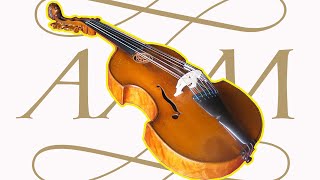 An Introduction to the Viola damore [upl. by Ramhaj]