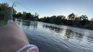 Trout Fishing 🎣  Mokelumne river [upl. by Stacey]