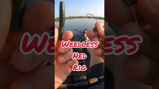 How To Hook Up a Weedless Ned Rig [upl. by Adriell]