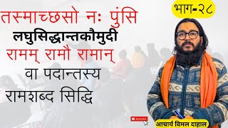 रामम् रामौ रामान् । सिद्धि प्रक्रिया एवं सूत्रार्थः । लघुसिद्धान्तकौमुदी । राम शब्द सिद्धि ।kaumudi [upl. by Domini]