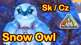 Jak ochočit Snow Owl  Ark Survival Evolved Cz  Sk  Tutorial Návod [upl. by Vocaay]