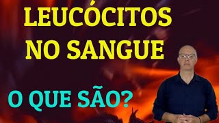 Leucócitos O que são [upl. by Lettig]