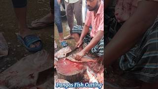 Amazing Great Delicious Pangas Fish Cutting Techniques  Fish Cutting Skills [upl. by Enrobyalc]