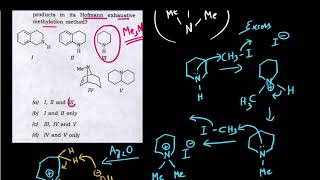 Q81 ‖ Problem based upon Hofmann Exhaustive Methylation Mechanism ‖ PYQ [upl. by Leatrice312]