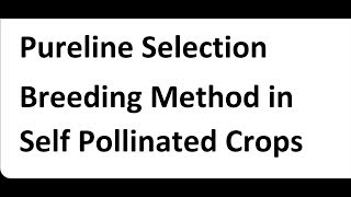 plant breeding mass amp pure line selection [upl. by Morgan930]