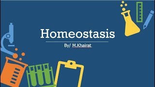 Physiology Homeostasis [upl. by Naneik879]