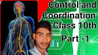 Control and coordination class 10th science best book [upl. by Aube]