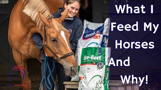 What I Feed My Horses and Why  Feeding Guide  Ad [upl. by Laurentium]