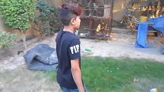 Moon vines Ramzan funny video [upl. by Batty]