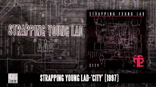 STRAPPING YOUNG LAD  AAA Album Track [upl. by Yarised]