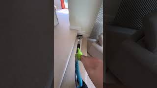 Carpet cleaning carpet cleaning professional service asmr steam cleaning Mr Sofa Kinsale [upl. by Norret280]