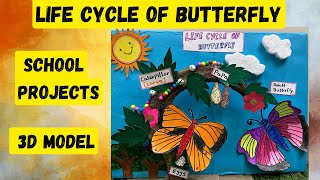 Life Cycle Of A Butterfly 3D Model  life cycle of butterfly model project biologyproject [upl. by Alicul]