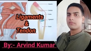 Important questions series  Biology Set 01 ByArvind Kumar [upl. by Ettelra731]