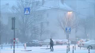 Starker Schneefall in Wien 03012019 heavy snow Vienna [upl. by Zurheide]