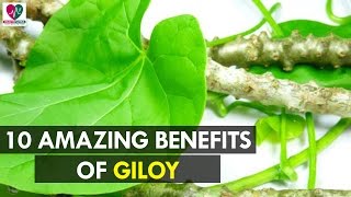 10 Amazing Benefits of Giloy  Health Sutra [upl. by Atsev]