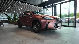 2024 Lexus NX 350h Premium  H BRID [upl. by Flossi]