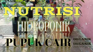 CARA PEMBERIAN NUTRISI HIDROPONIK DAN PUPUK TANAMAN HIDROPONIK SEDERHANA BOTOL BEKAS TABULAMPOT [upl. by Ahseetal]