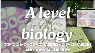 A level biology Edexcel A Topic 1 Monosaccharides Disaccharides and Polysaccharides [upl. by Eldora506]