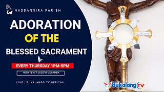 EUCHARISTIC ADORATION NADDANGIRA PRAYERS 7TH NOV 2024 [upl. by Grimbly]