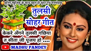 Video तुलसी सोहर गीतTulsi Vivahकेकरे अँगने तुलसी गछिया त सीता जी पूजय होकार्तिकमास भजनएकादशीभजन [upl. by Acissej]