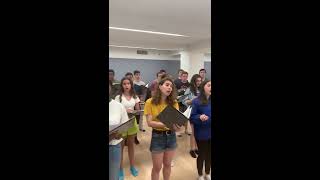 Hallelujah a cappella  Young Peoples Chorus of New York City [upl. by Litnahc]