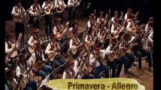 Primavera Allegro  Orquestra Paulistana de Viola Caipirawmv [upl. by Pebrook]