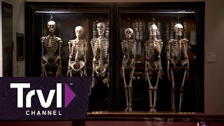 Philadelphias Mutter Museum  Travel Channel [upl. by Yasui]