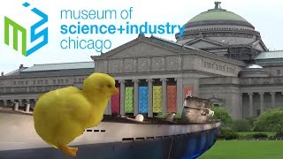 Museum of Science and Industry Chicago Tour amp Review [upl. by Corly595]