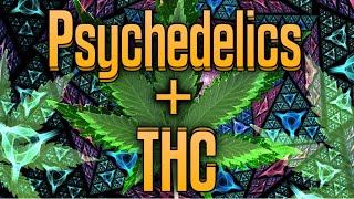 Weed  Psychedelics  Experience [upl. by Atinob]