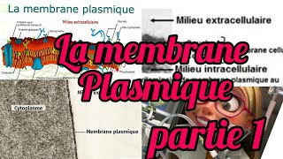 La membrane plasmique partie 1 quot1 année snvquot [upl. by Greggory]