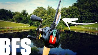 BFS Fishing Freshly Stocked Bass Pond Megabass Karashi Micro Topwater [upl. by Htebi]