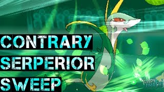 Pokebank XY Wifi Battle Contrary Serperior Sweep [upl. by Verdi]